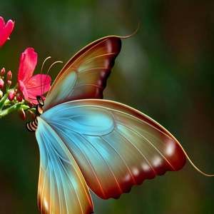 Meet your Posher, Jacqueline